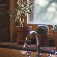 happy client review 2